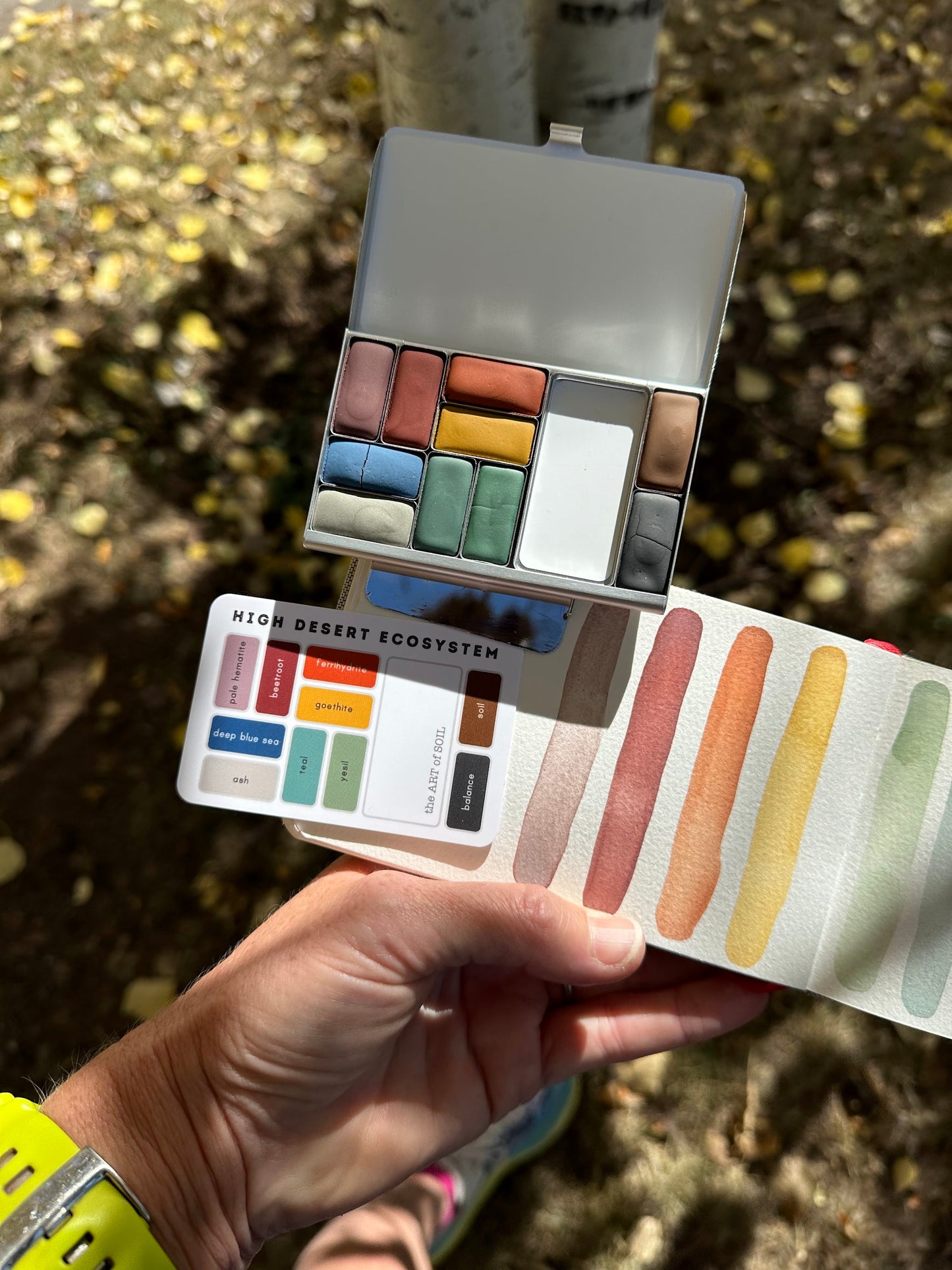 high desert ecosystem - pocket palette