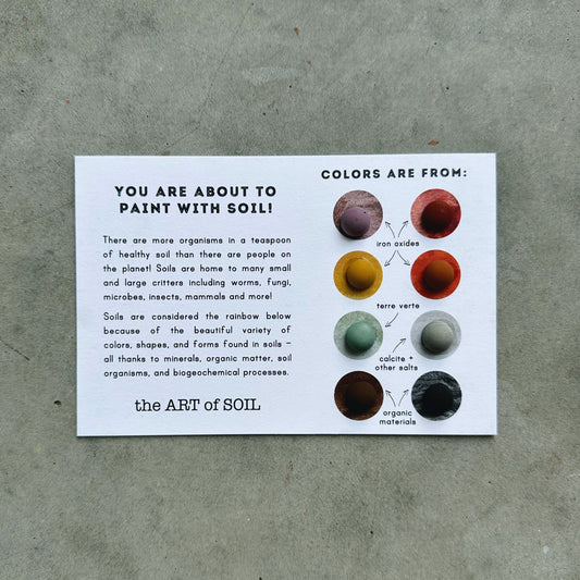 set of 4 educational mini ecopod cards