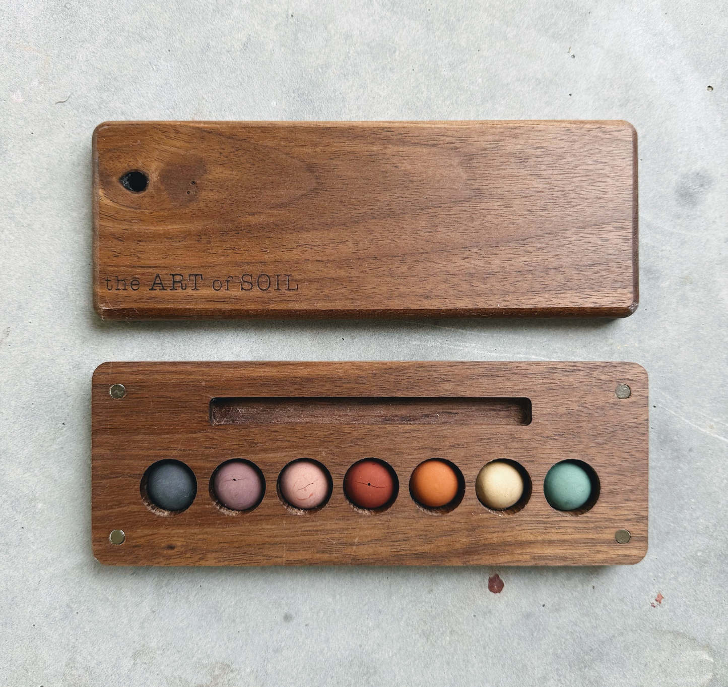 wild pigment collection in a walnut palette