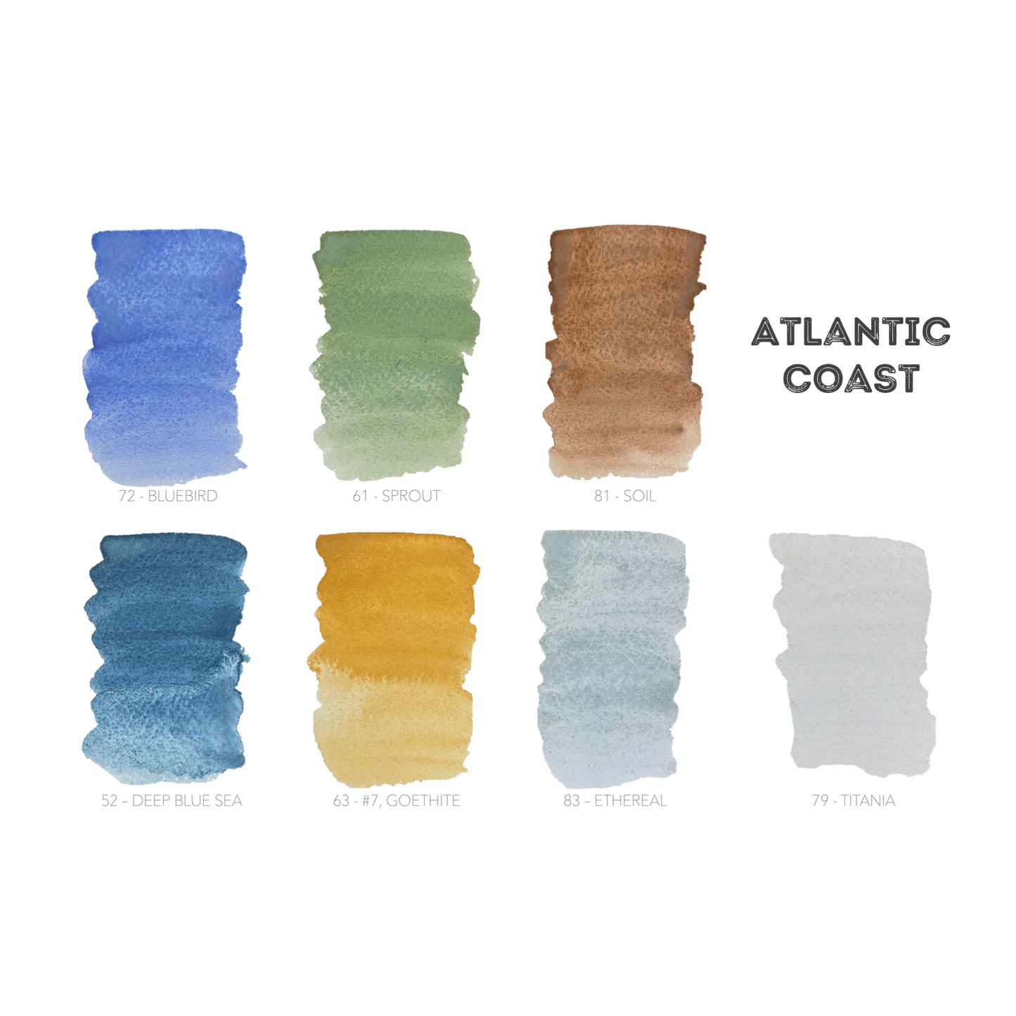 mini ecosystem inspired wooden palettes