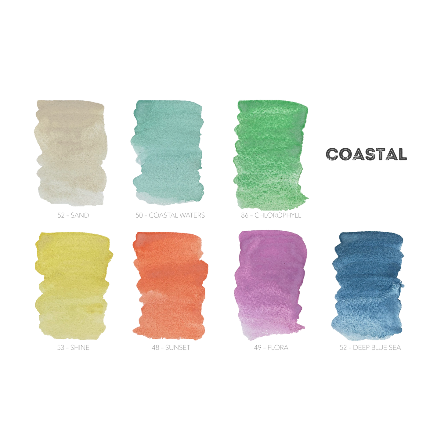 mini ecosystem inspired wooden palettes