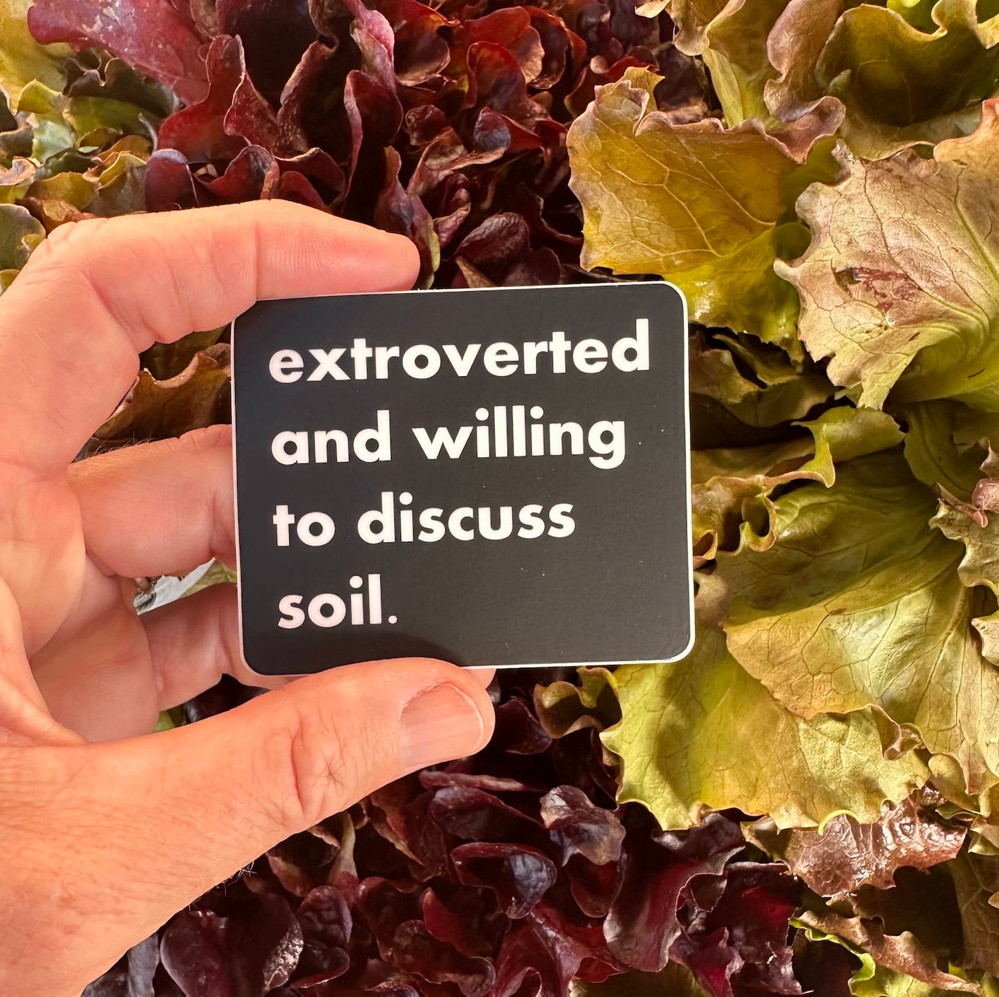 introvert/extrovert • sticker