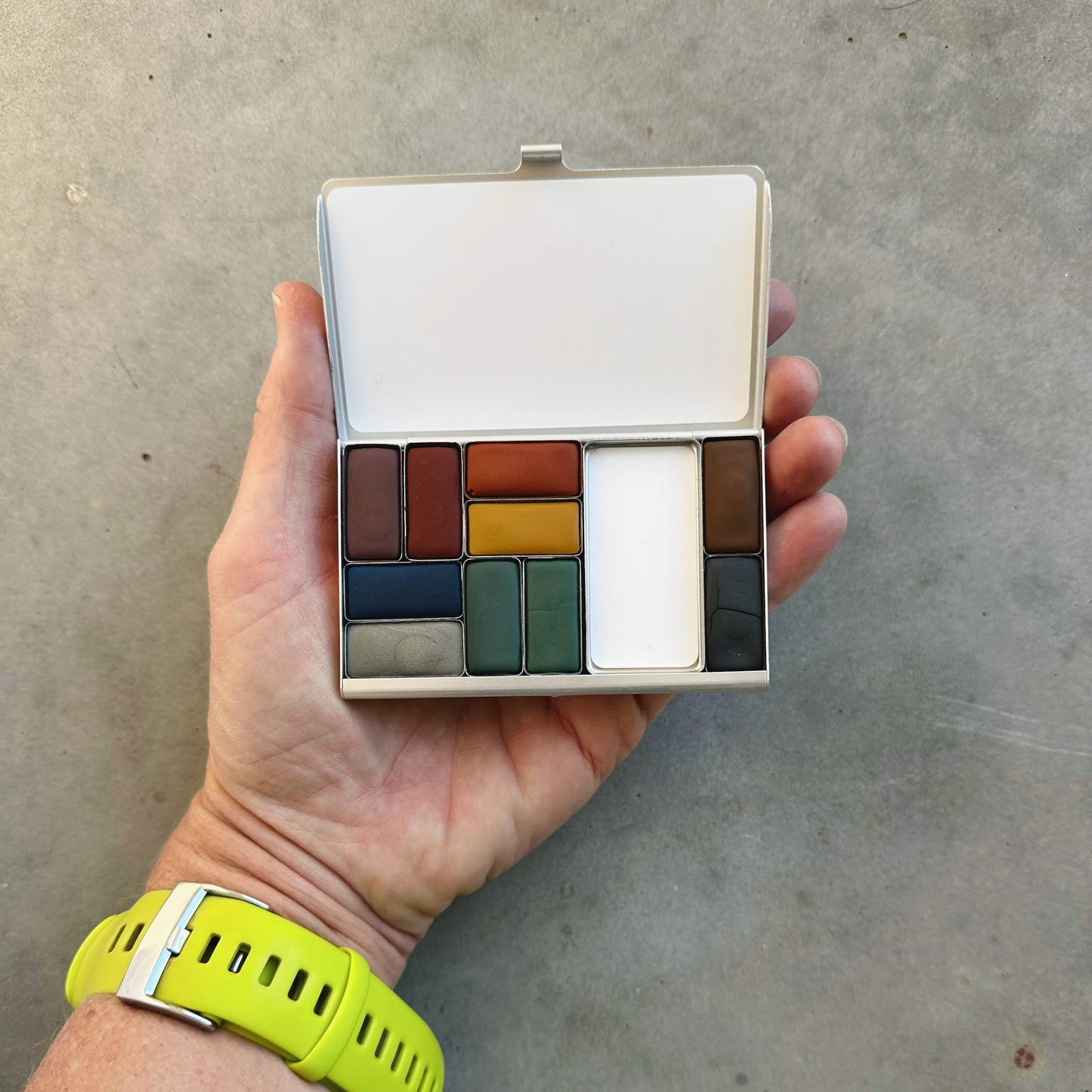 high desert ecosystem - pocket palette