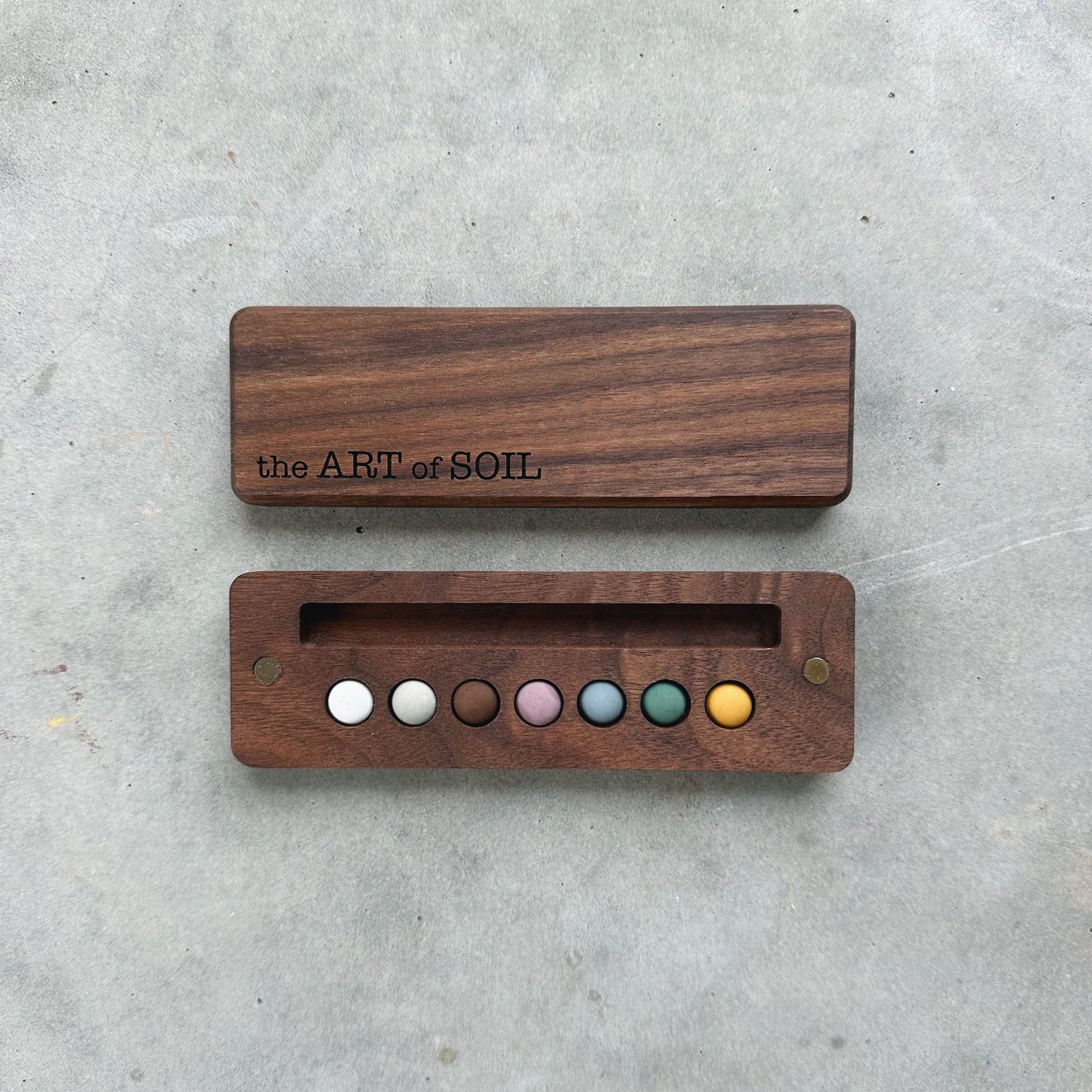 mini ecosystem inspired wooden palettes