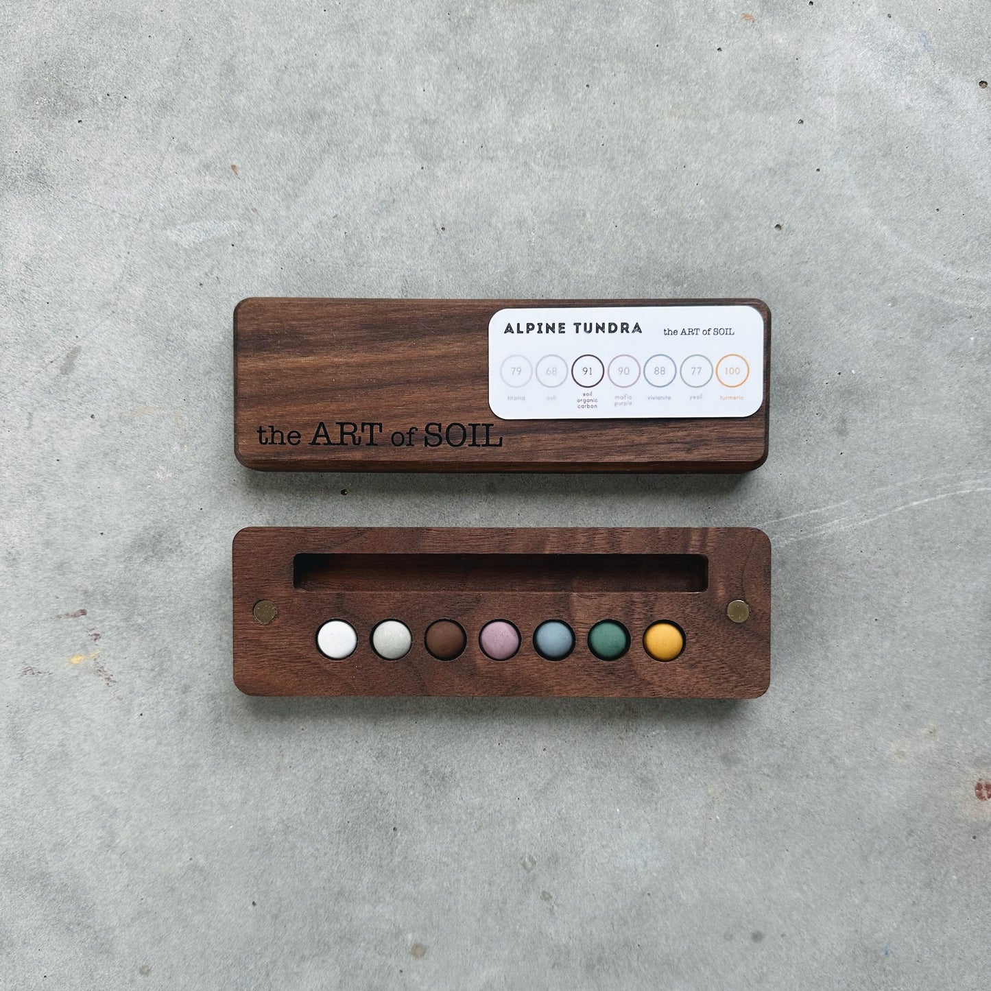 mini ecosystem inspired wooden palettes