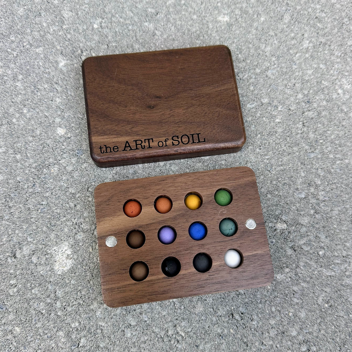 BOLD - 12 mini ecopods in a wooden palette
