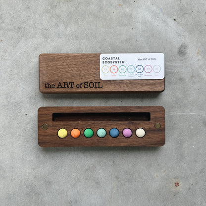 mini ecosystem inspired wooden palettes