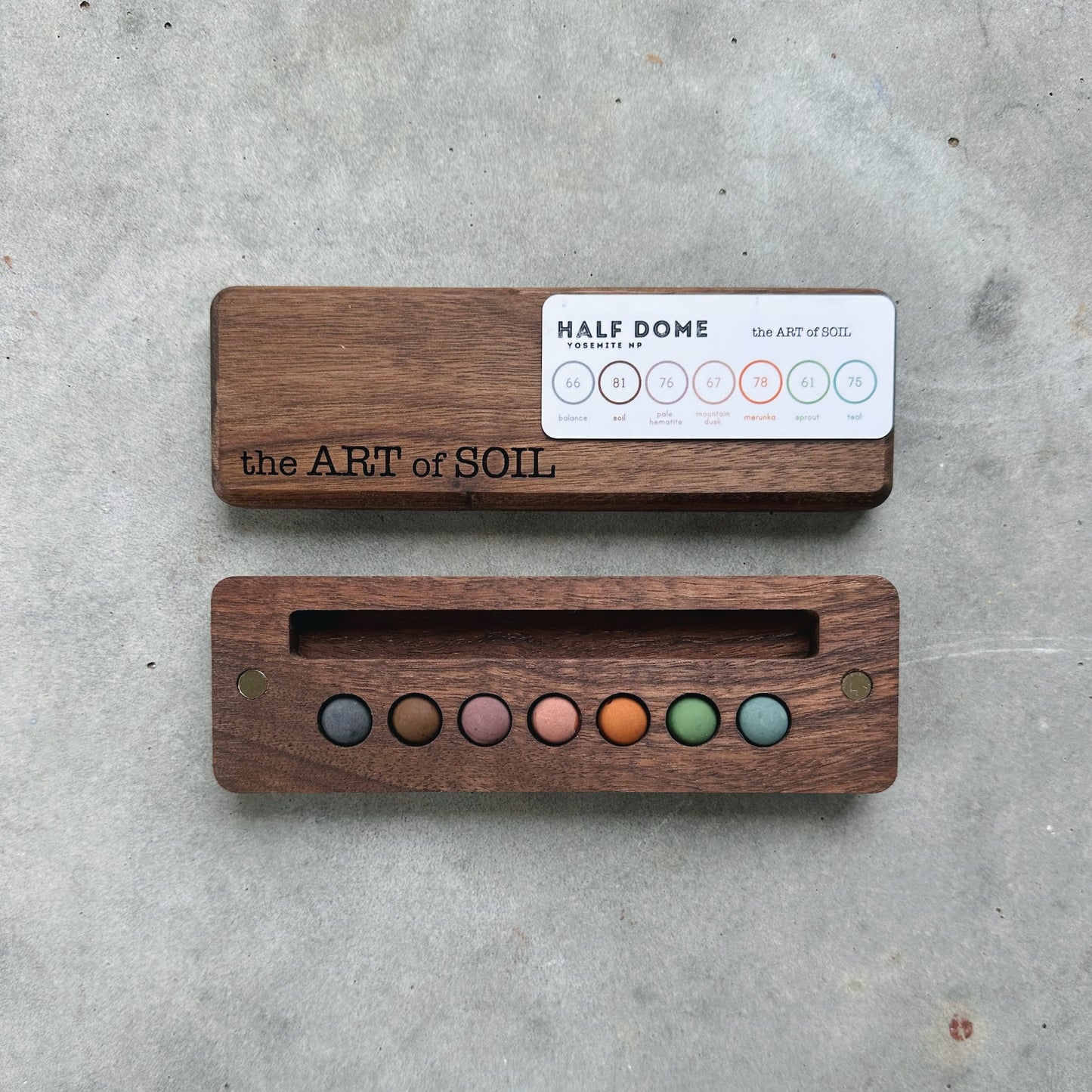 mini ecosystem inspired wooden palettes